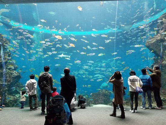 Aquarium de Shinagawa